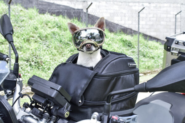 TANK BAG VETROX PET DUAL PARA MASCOTAS