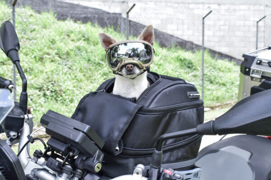 TANK BAG VETROX PET DUALL PARA MASCOTAS